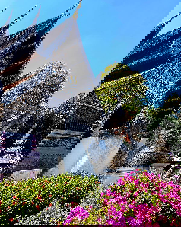 yam_adler image ~ Altpins