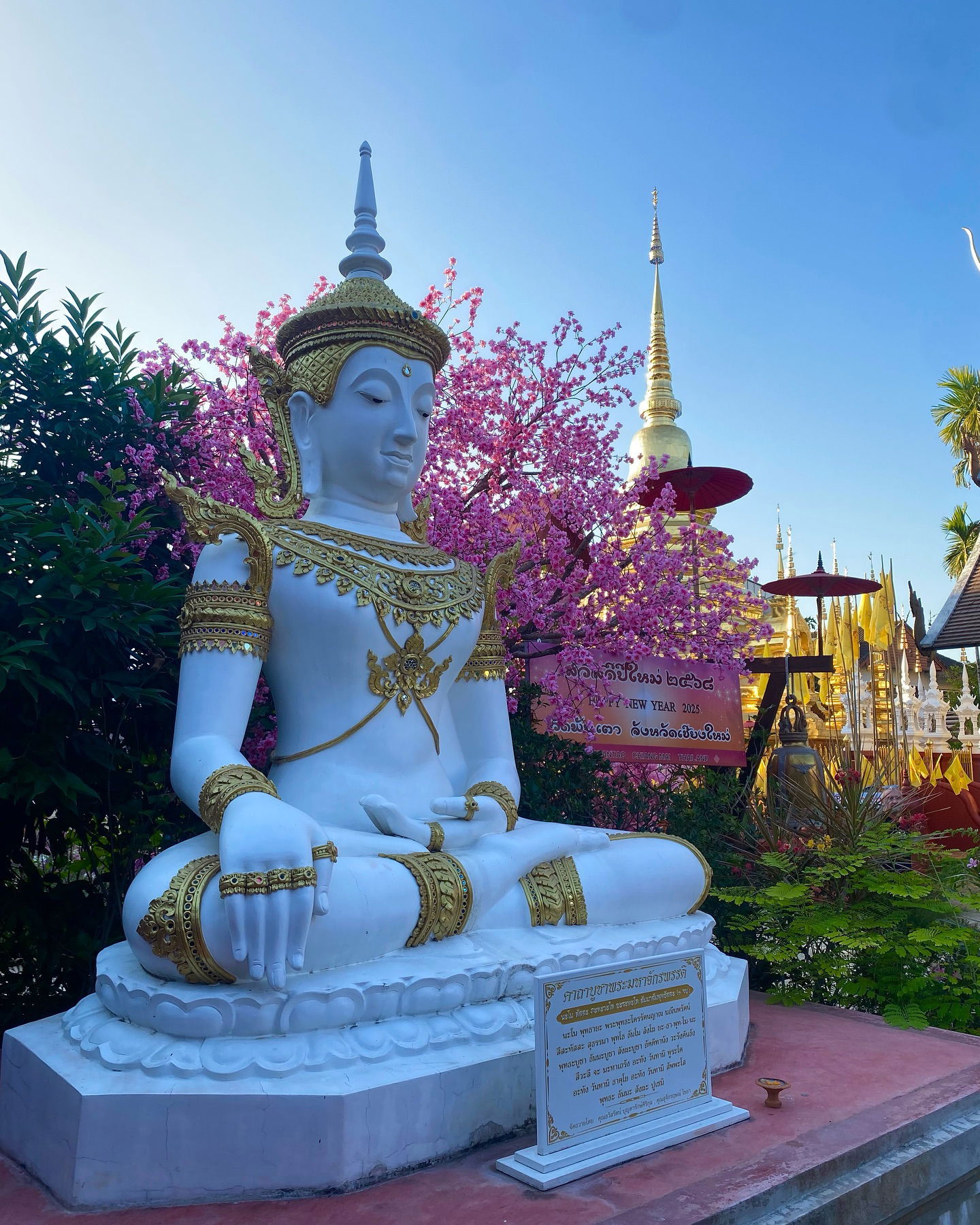 yam_adler instagram image archive image