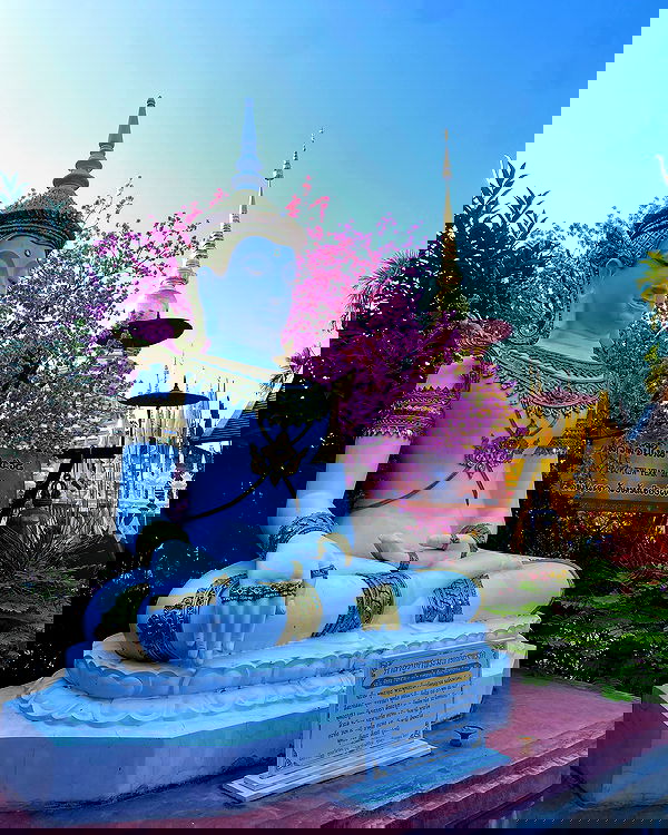 yam_adler image ~ Altpins