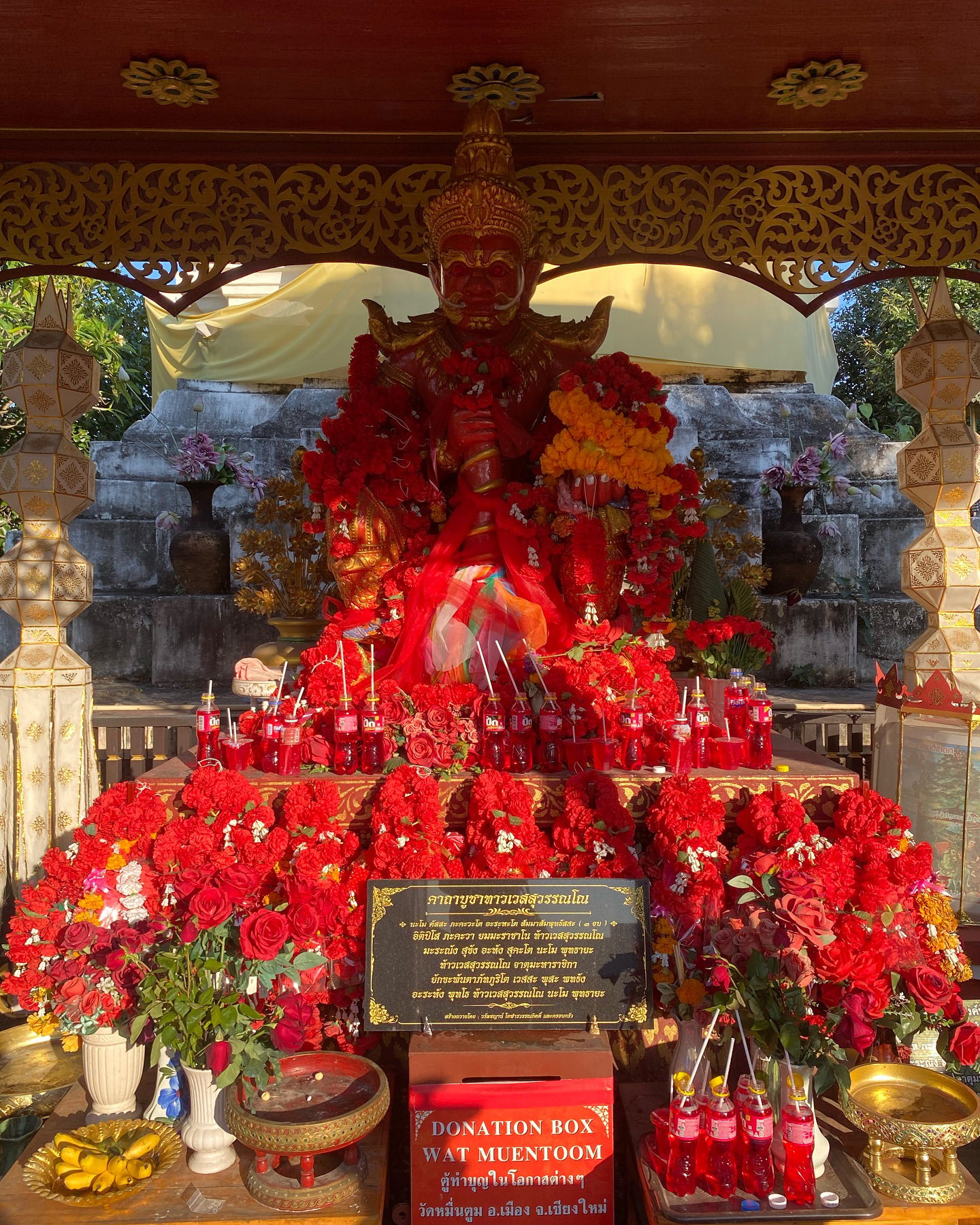 yam_adler instagram image archive image