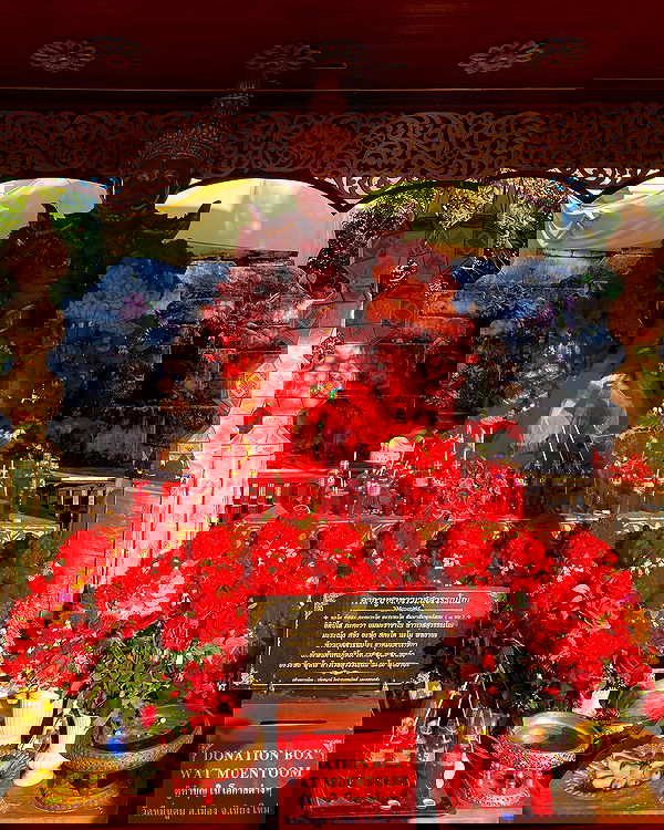 yam_adler image ~ Altpins