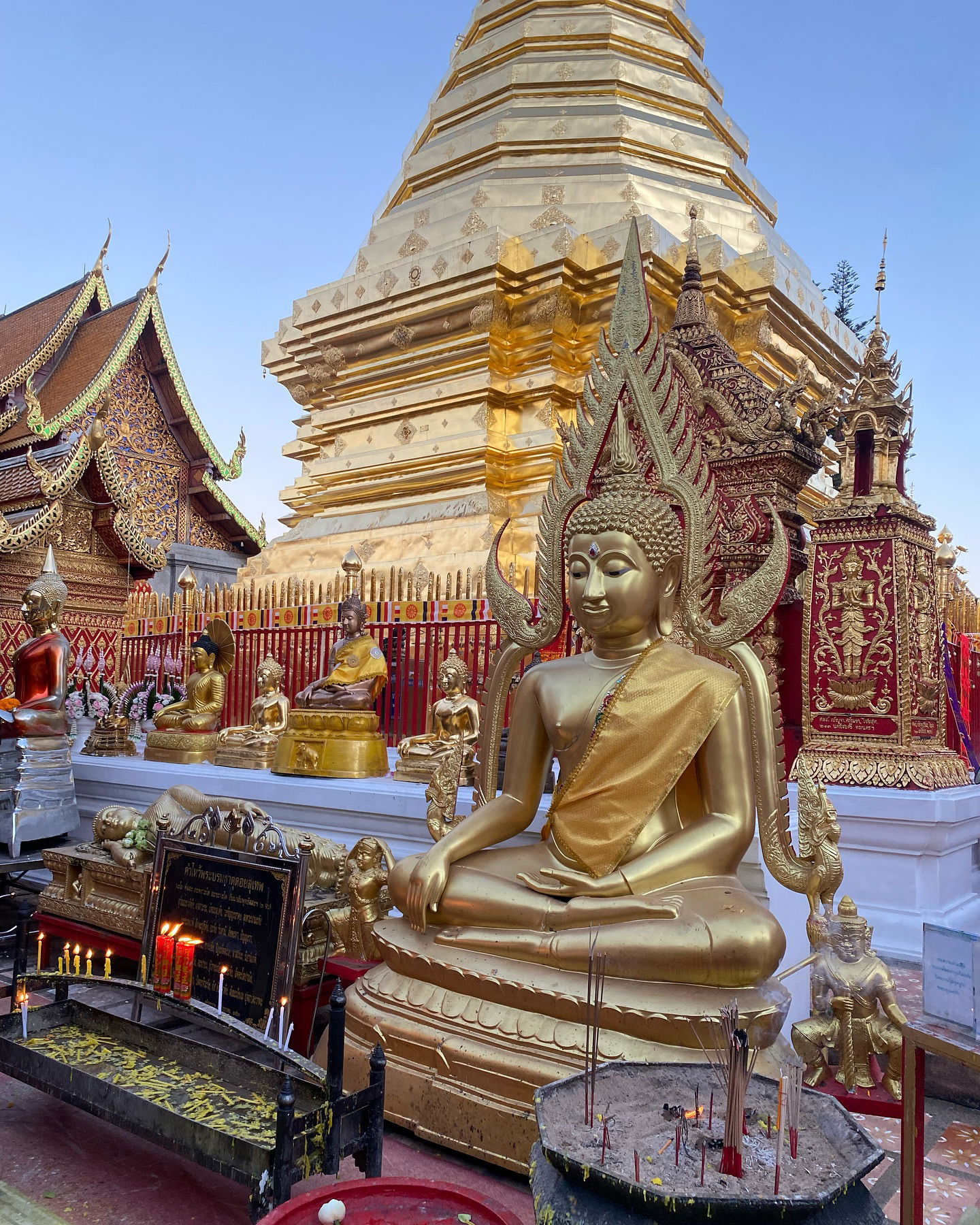 yam_adler instagram image archive image