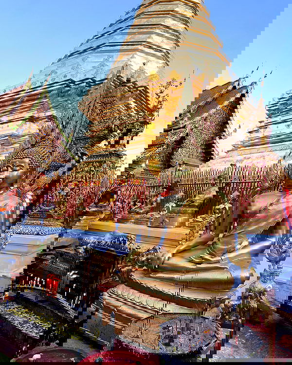 yam_adler image ~ Altpins