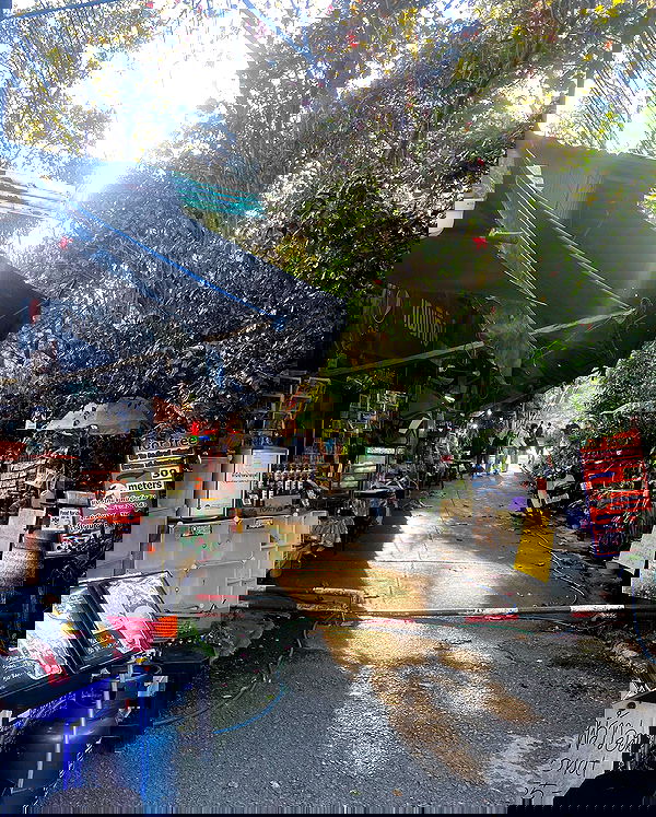 yam_adler image ~ Altpins