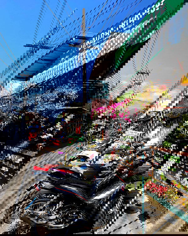 yam_adler image ~ Altpins