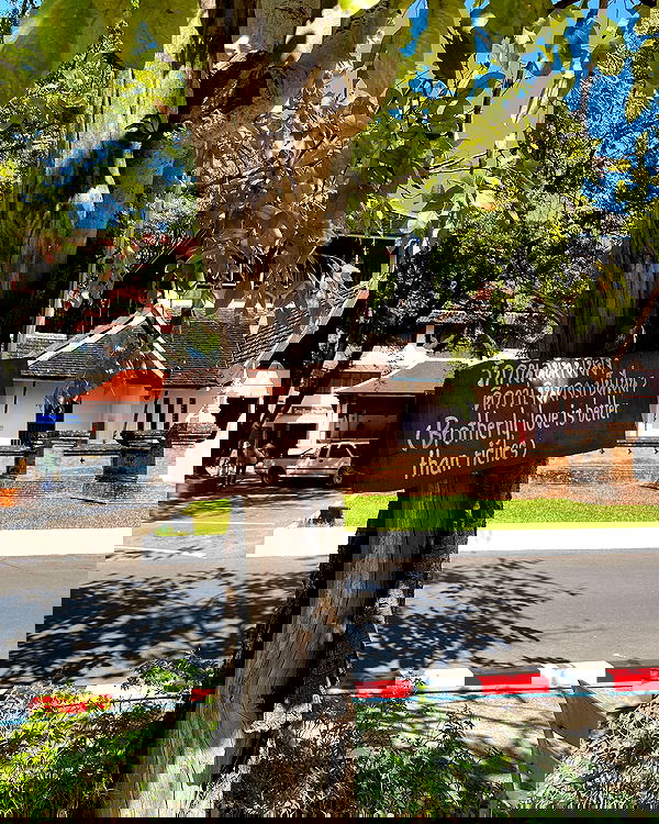 yam_adler image ~ Altpins