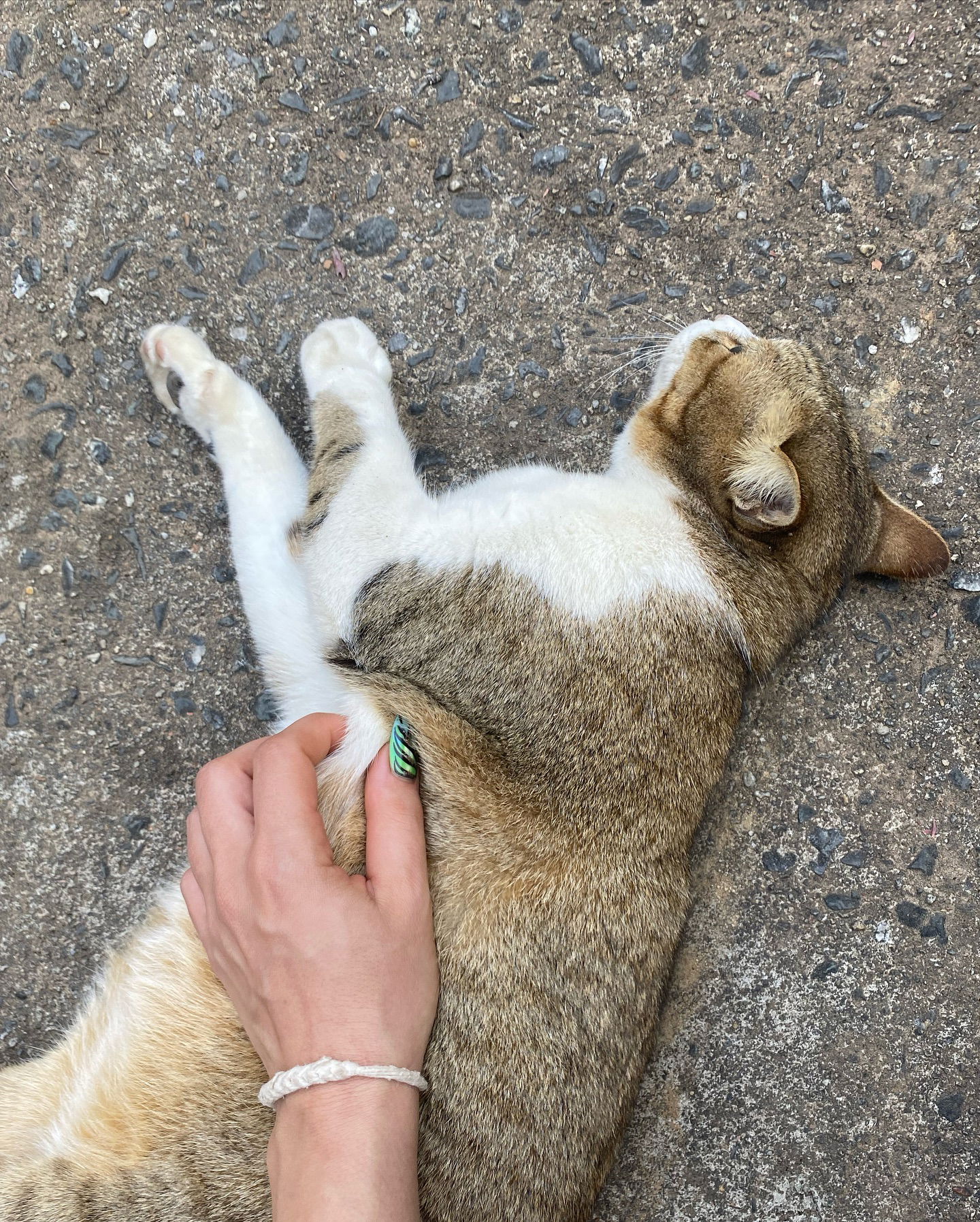 yam_adler instagram image archive image