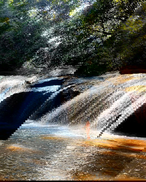 yam_adler image ~ Altpins