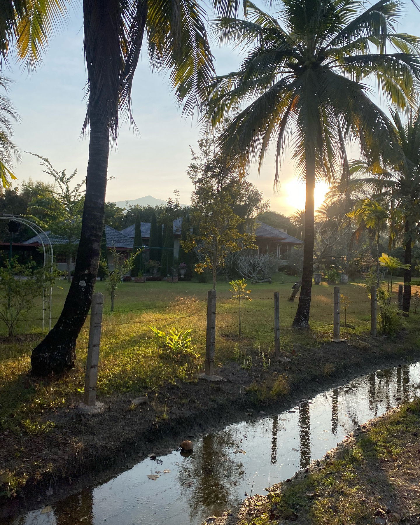 yam_adler instagram image archive image