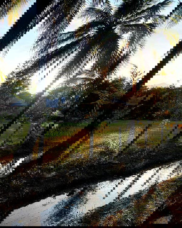 yam_adler image ~ Altpins