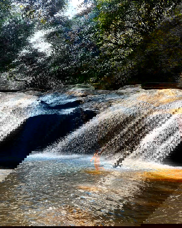 yam_adler image ~ Altpins