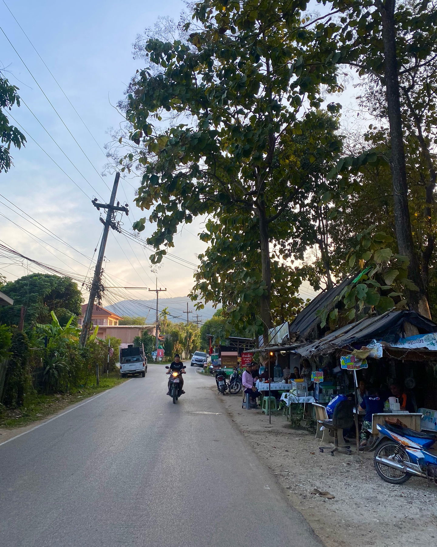 yam_adler instagram image archive image