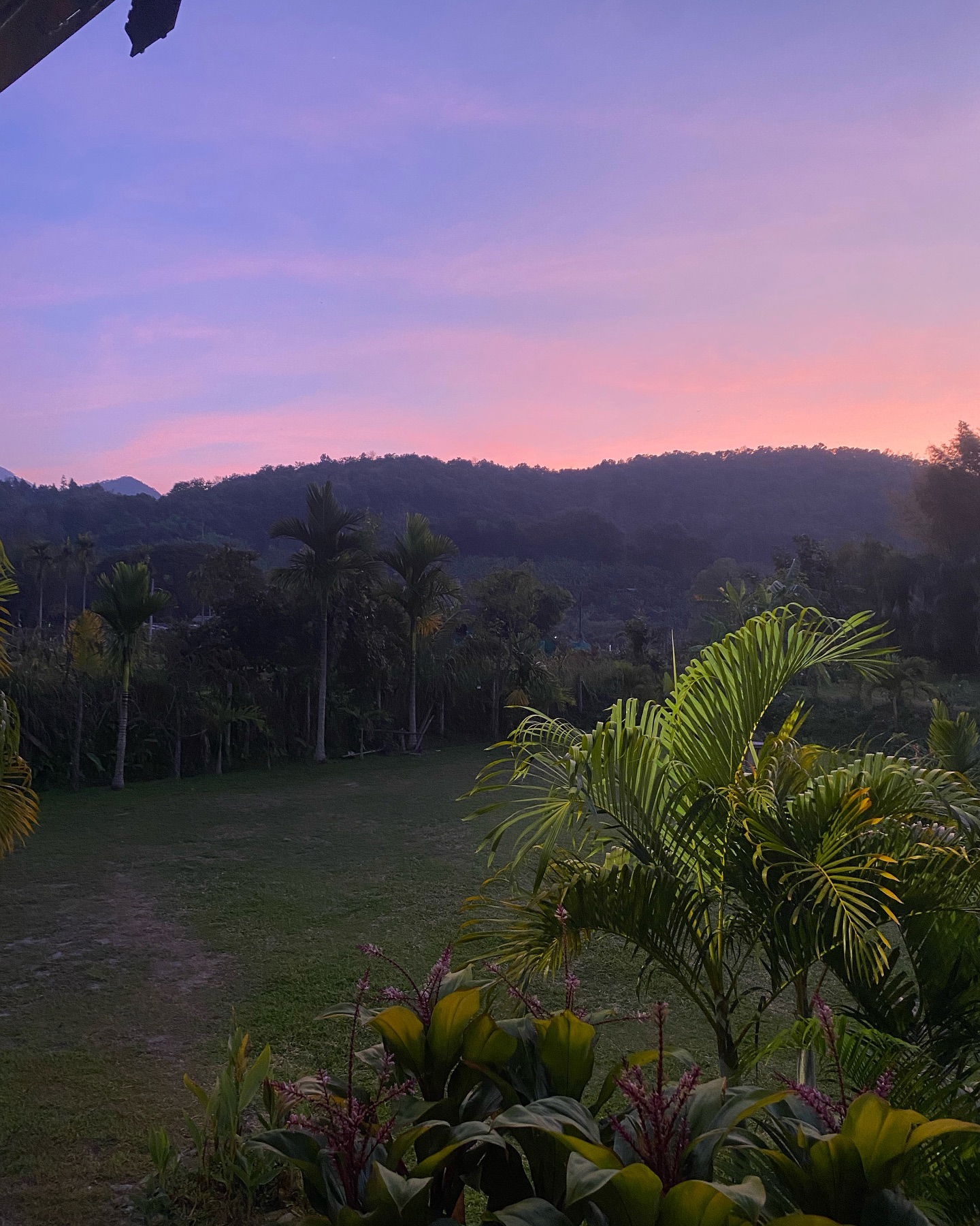 yam_adler instagram image archive image