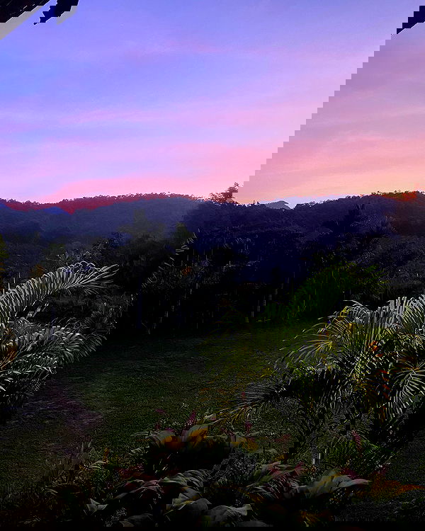 yam_adler image ~ Altpins