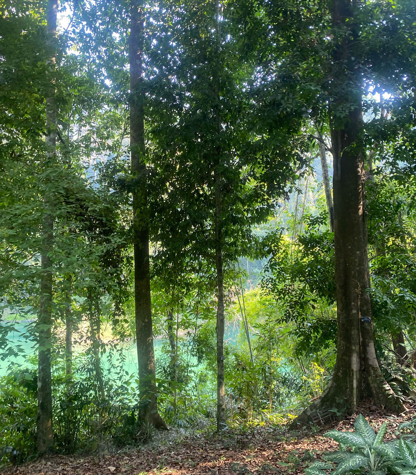 yam_adler instagram image archive image