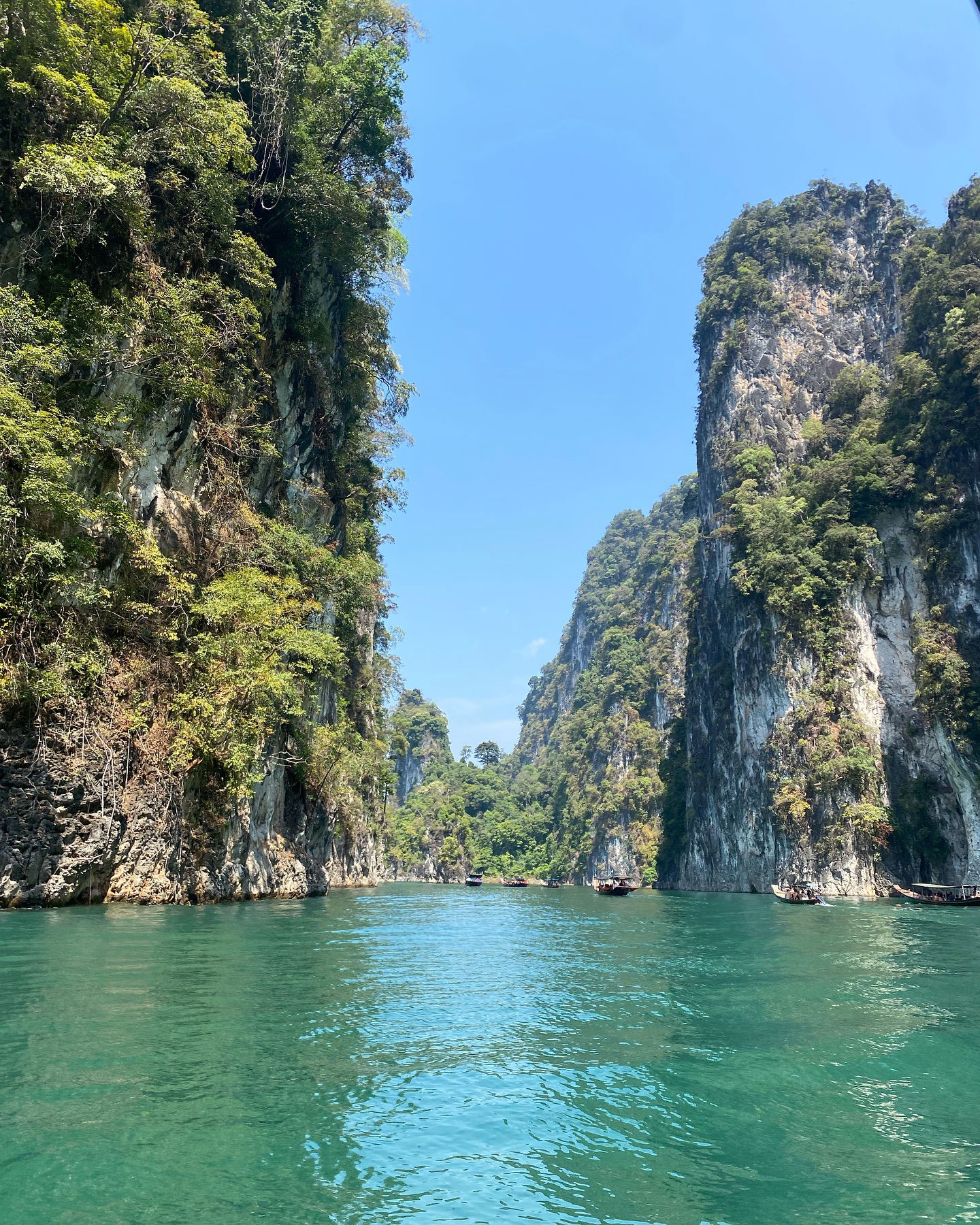 yam_adler instagram image archive image