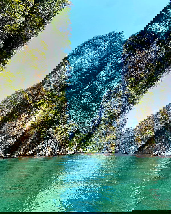 yam_adler image ~ Altpins