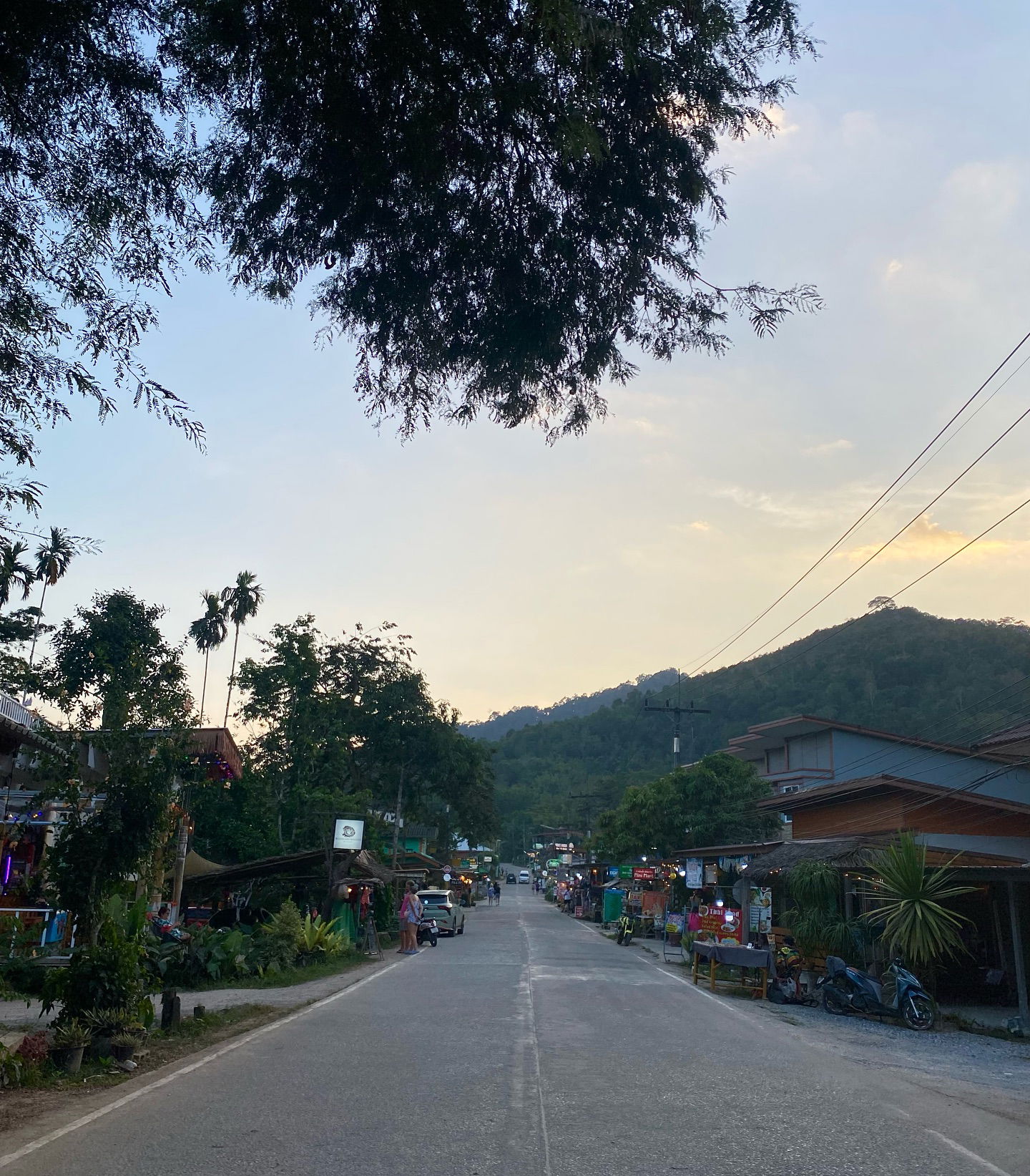 yam_adler instagram image archive image