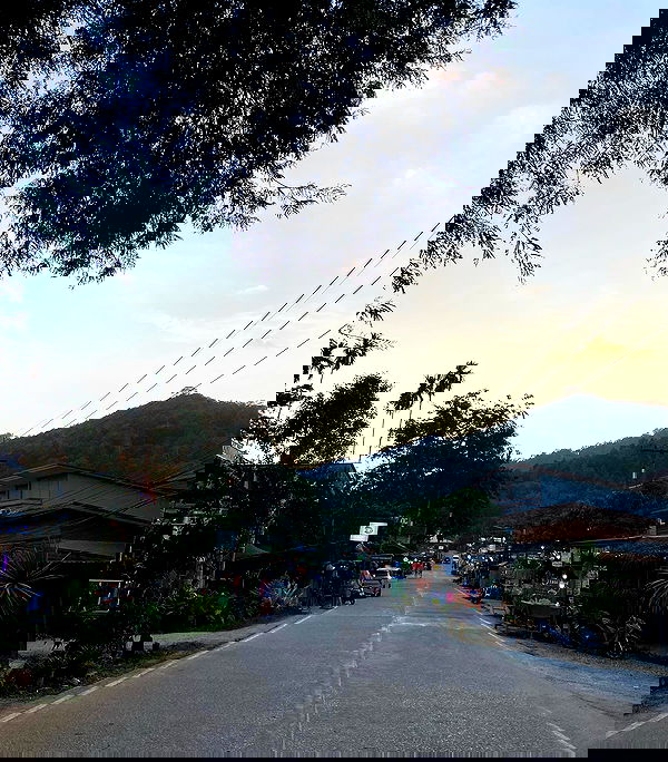 yam_adler image ~ Altpins