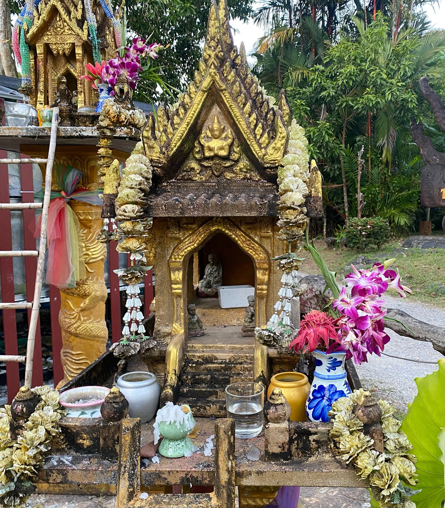 yam_adler instagram image archive image