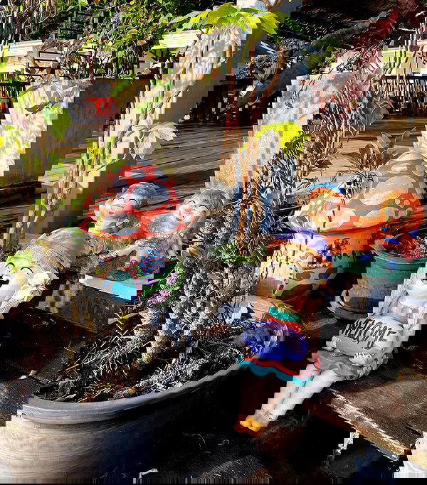 yam_adler image ~ Altpins