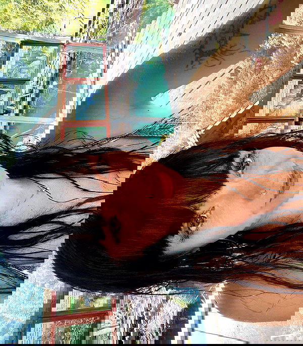 yam_adler image ~ Altpins