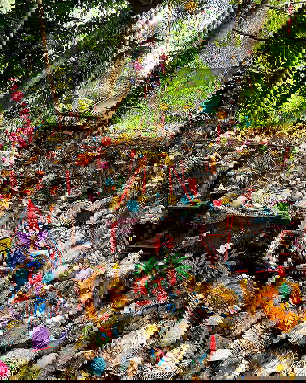 yam_adler image ~ Altpins