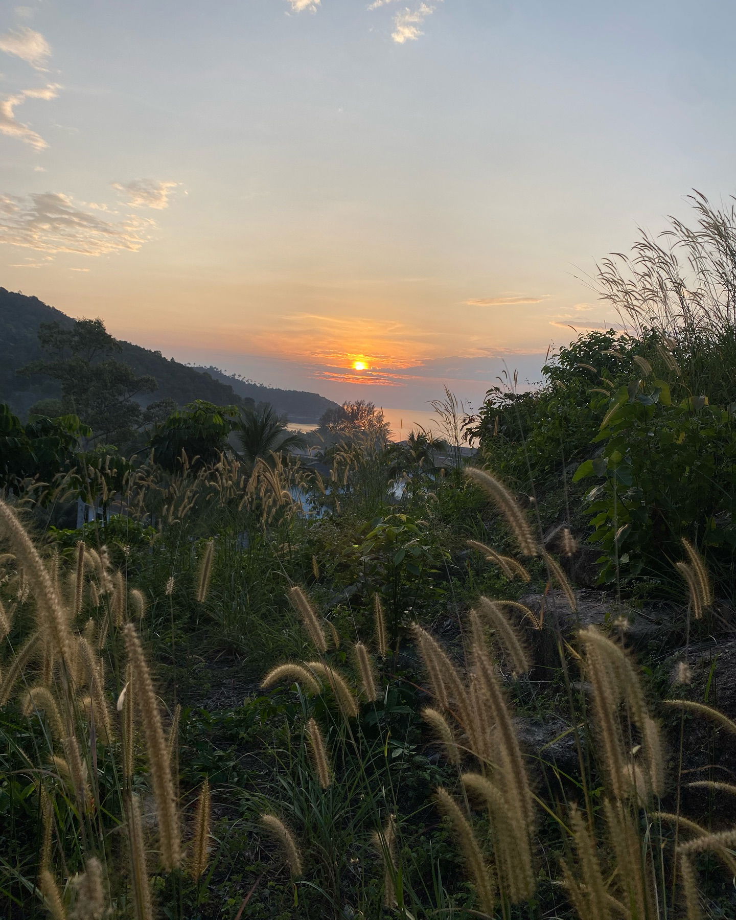 yam_adler instagram image archive image