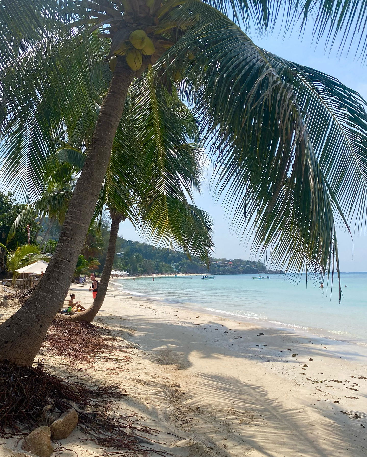 yam_adler instagram image archive image