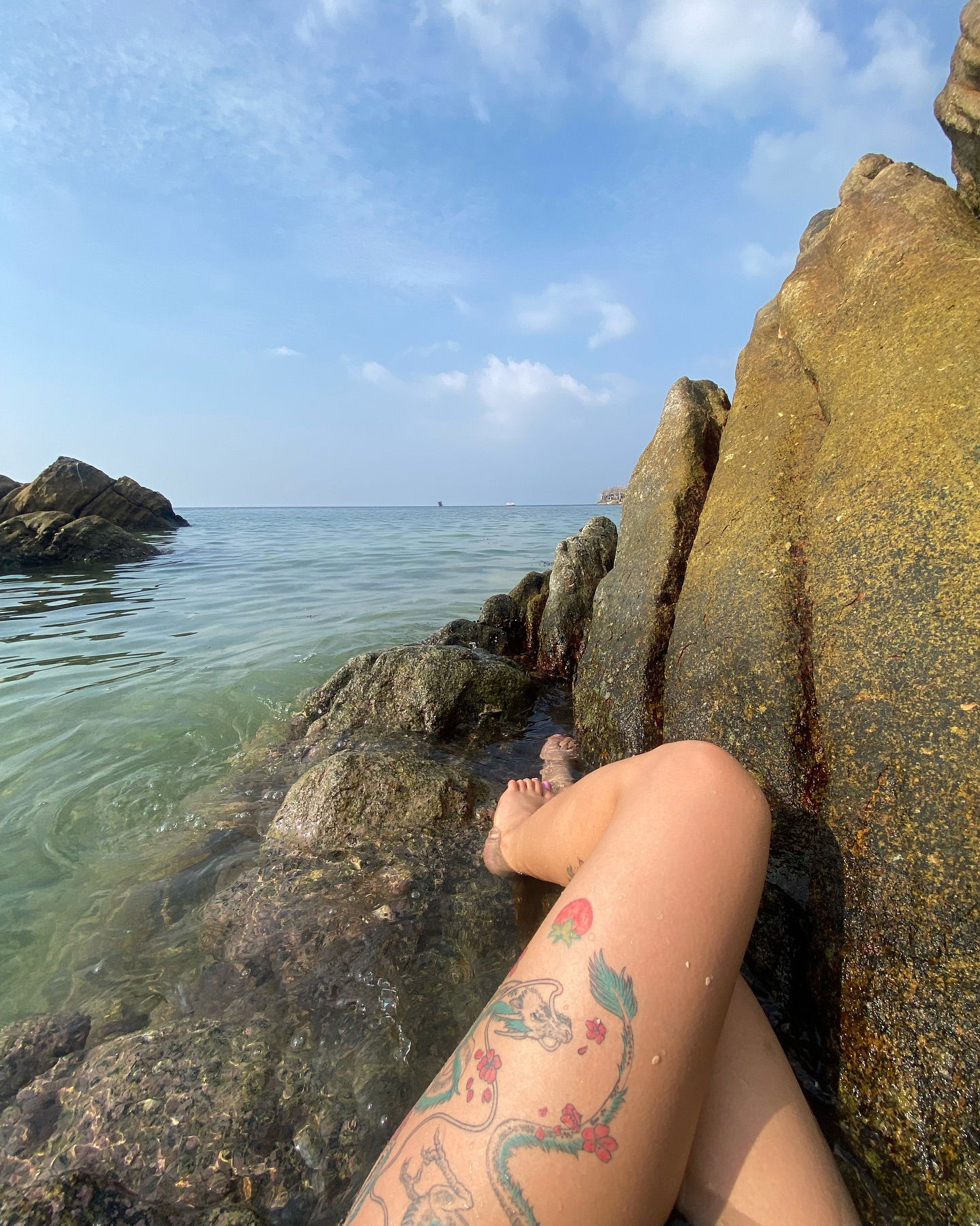 yam_adler instagram image archive image