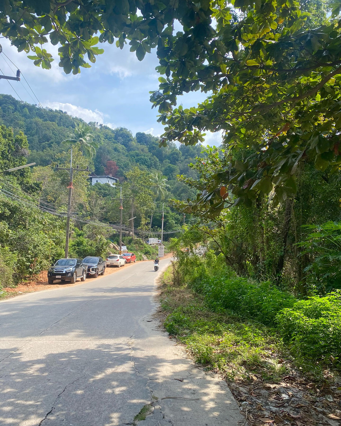 yam_adler instagram image archive image