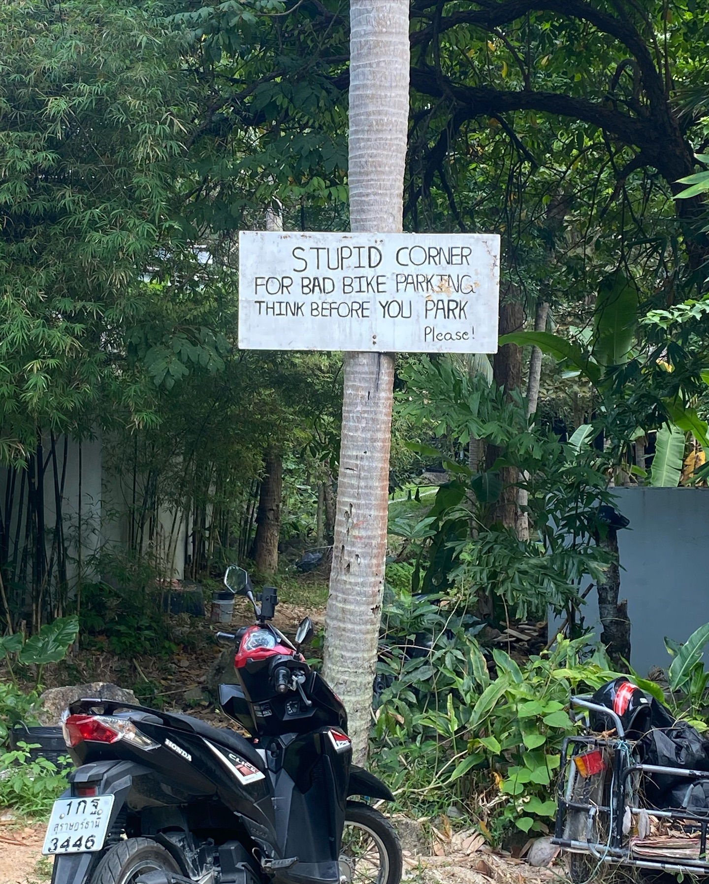 yam_adler instagram image archive image