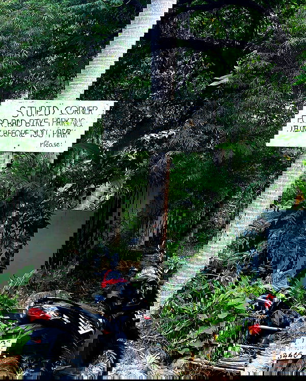 yam_adler image ~ Altpins