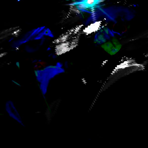 yam_adler image ~ Altpins