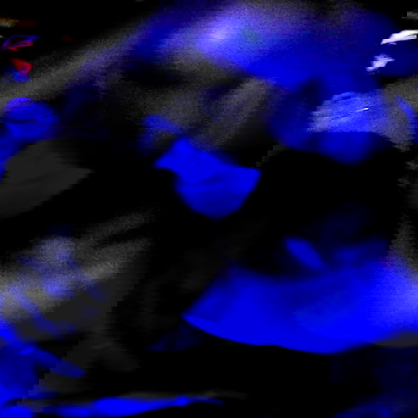 yam_adler image ~ Altpins