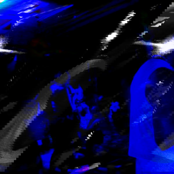 yam_adler image ~ Altpins