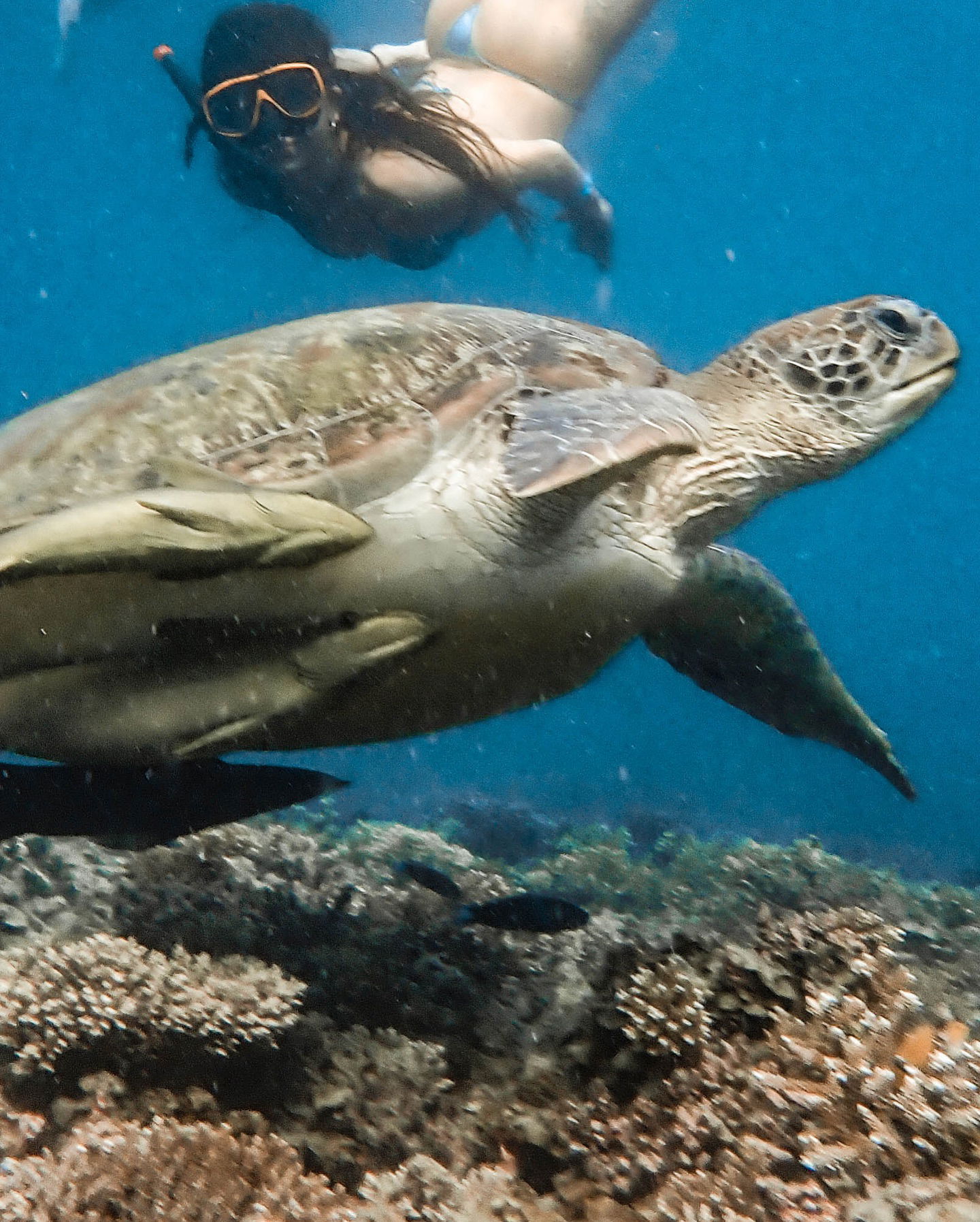 yam_adler instagram image archive image