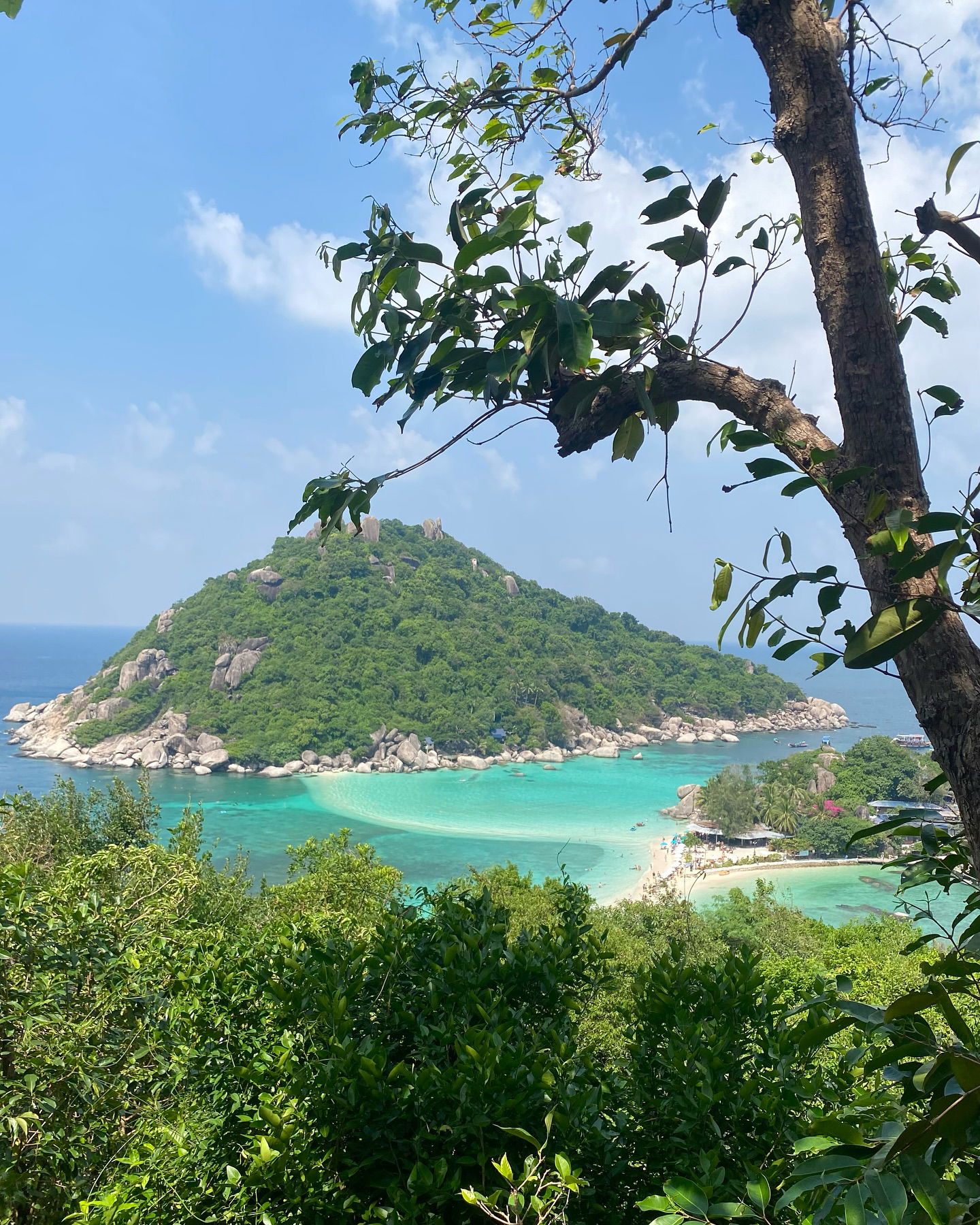 yam_adler instagram image archive image