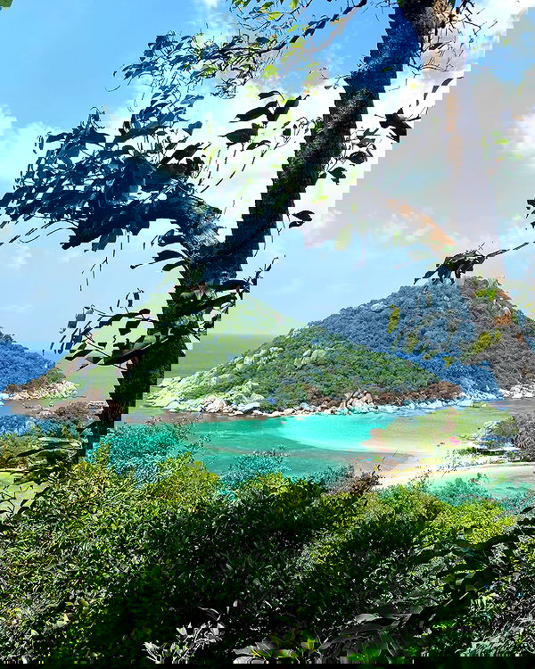 yam_adler image ~ Altpins