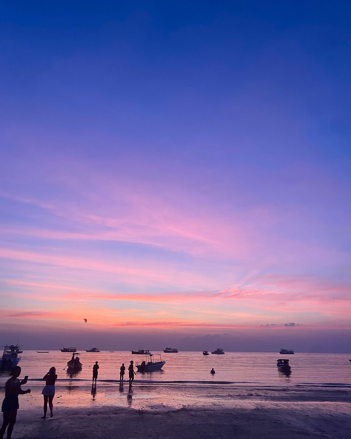 yam_adler instagram image archive image