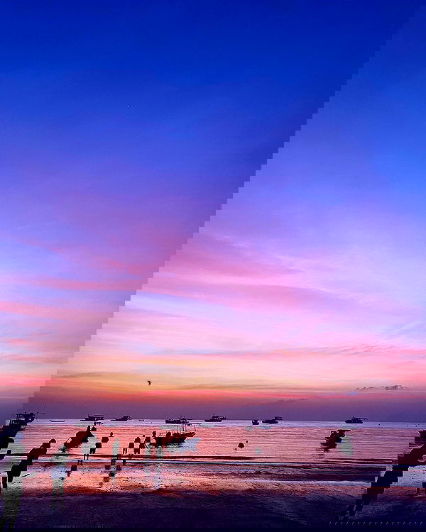 yam_adler image ~ Altpins