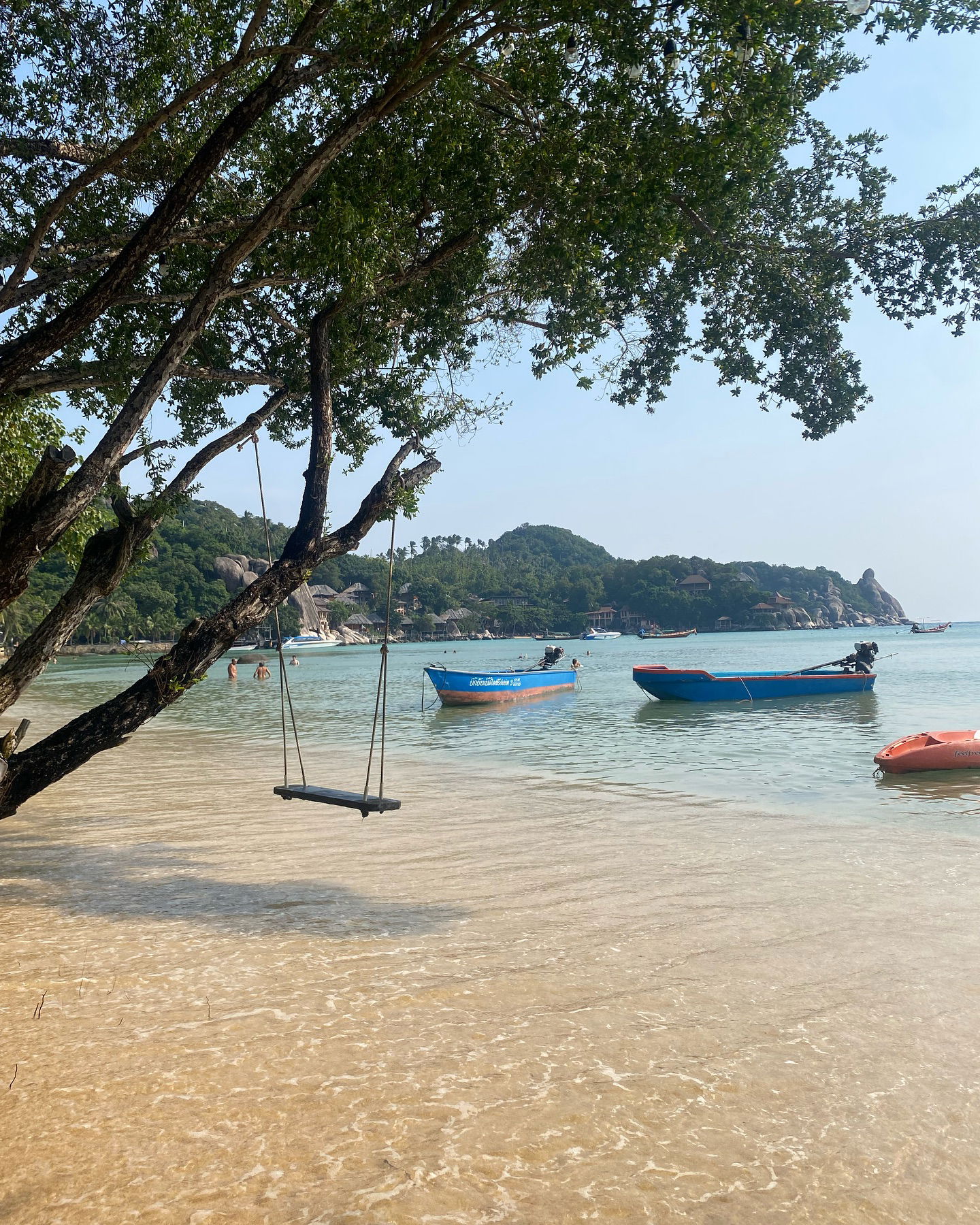 yam_adler instagram image archive image