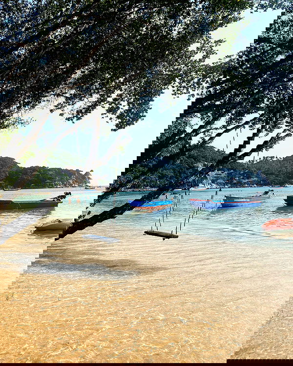 yam_adler image ~ Altpins