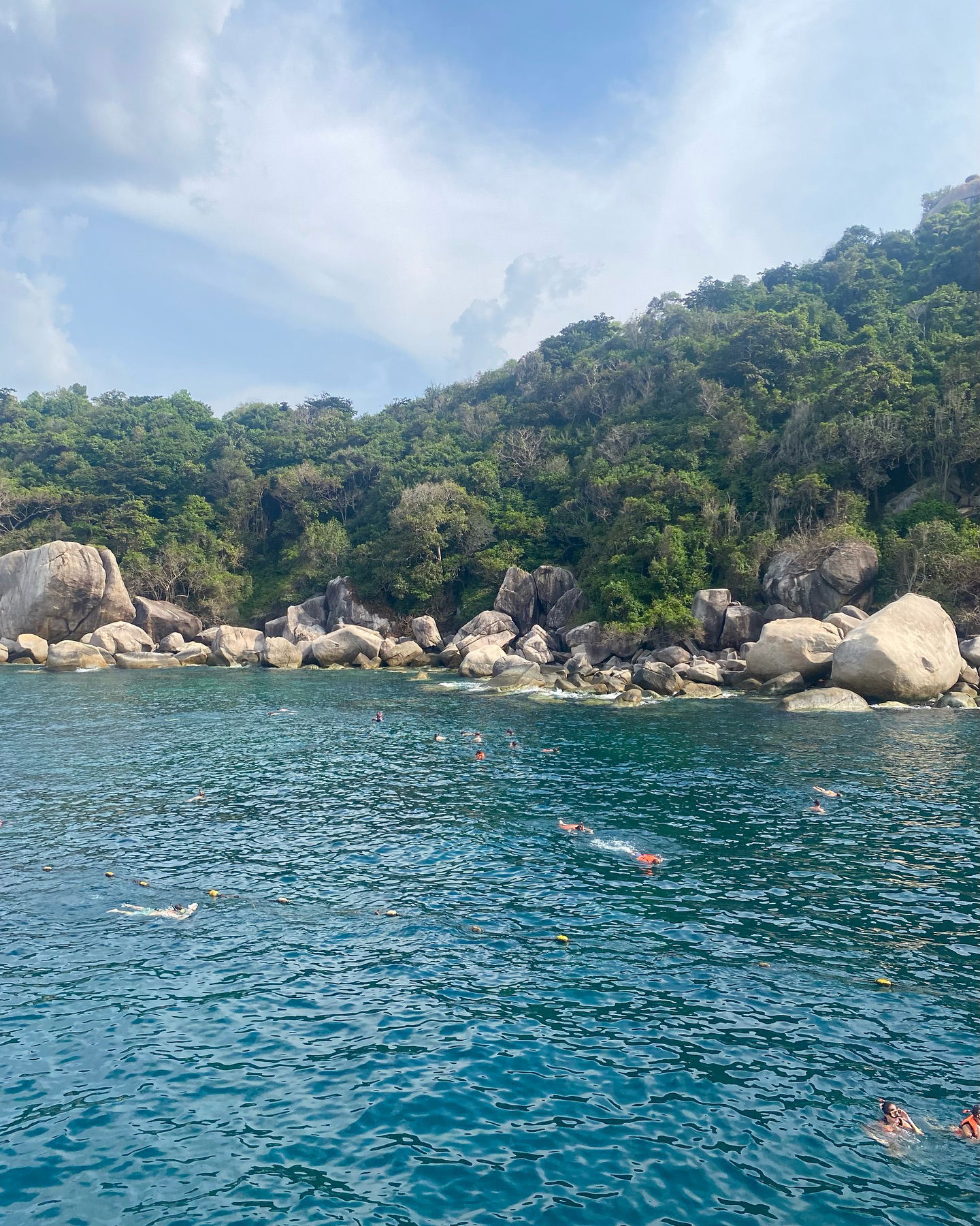 yam_adler instagram image archive image