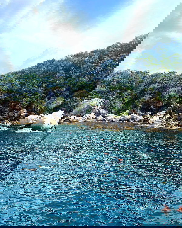 yam_adler image ~ Altpins