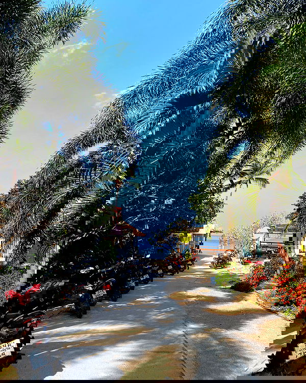 yam_adler image ~ Altpins