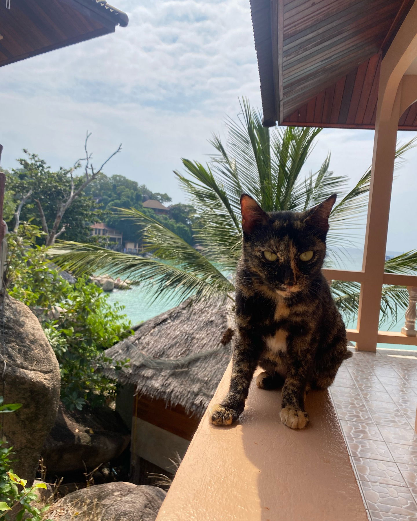 yam_adler instagram image archive image