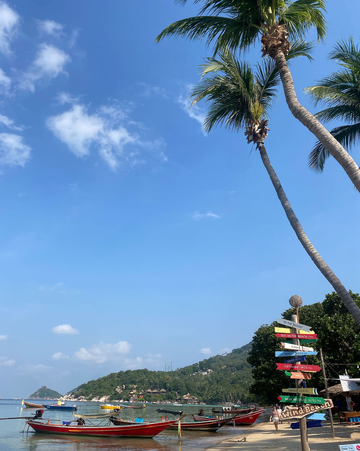 yam_adler instagram image archive image