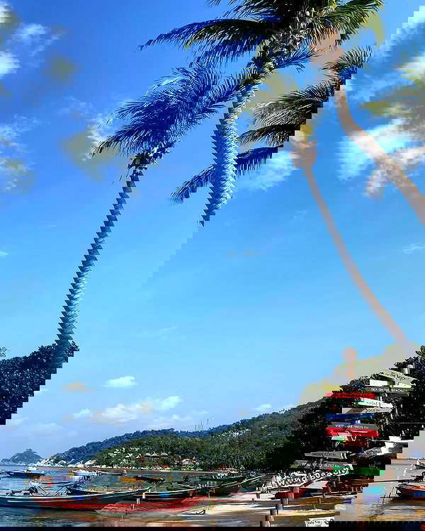 yam_adler image ~ Altpins