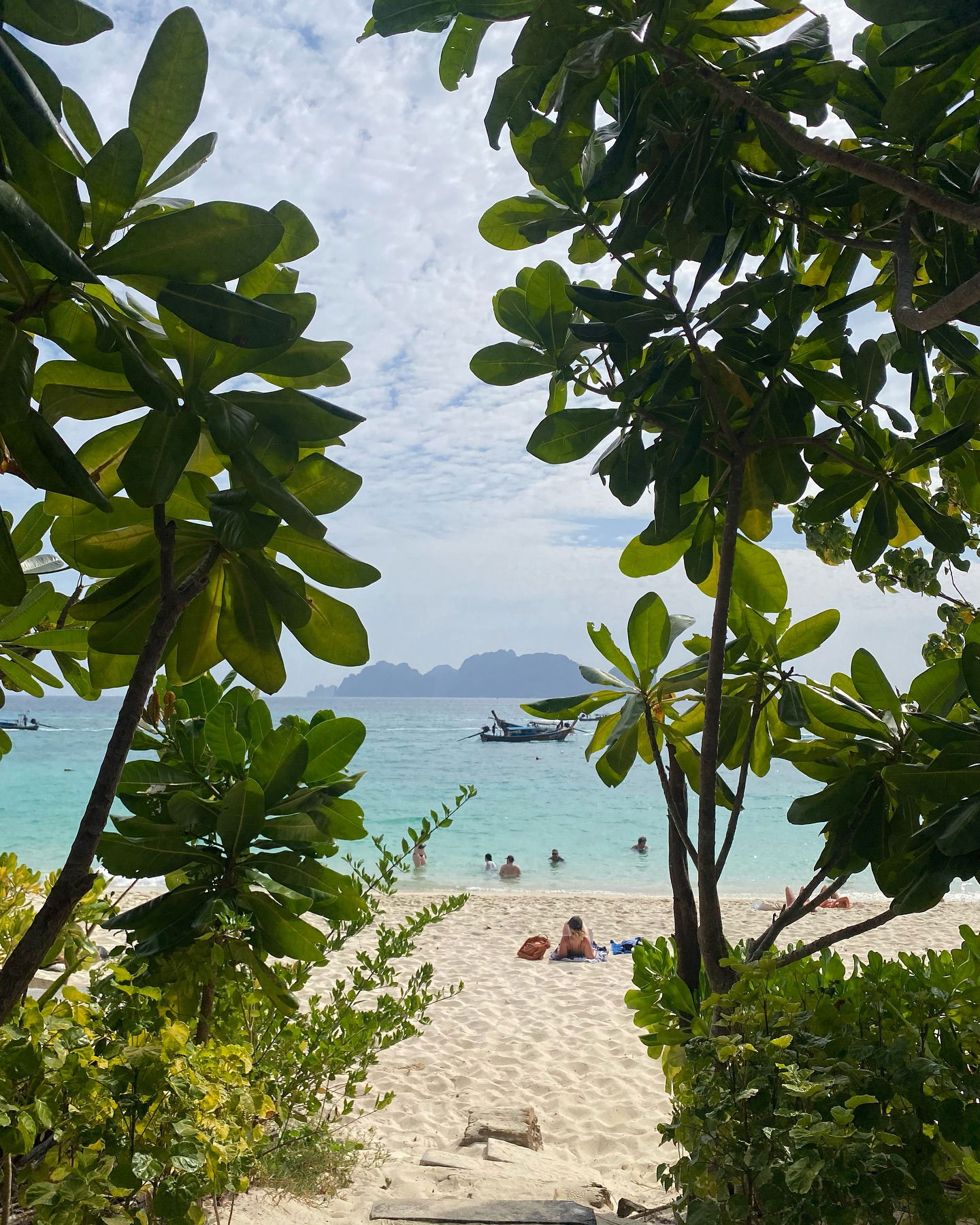 yam_adler instagram image archive image